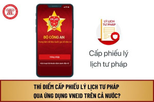 Thí điểm cấp Phiếu lý lịch tư pháp qua ứng dụng VNeID trên toàn quốc